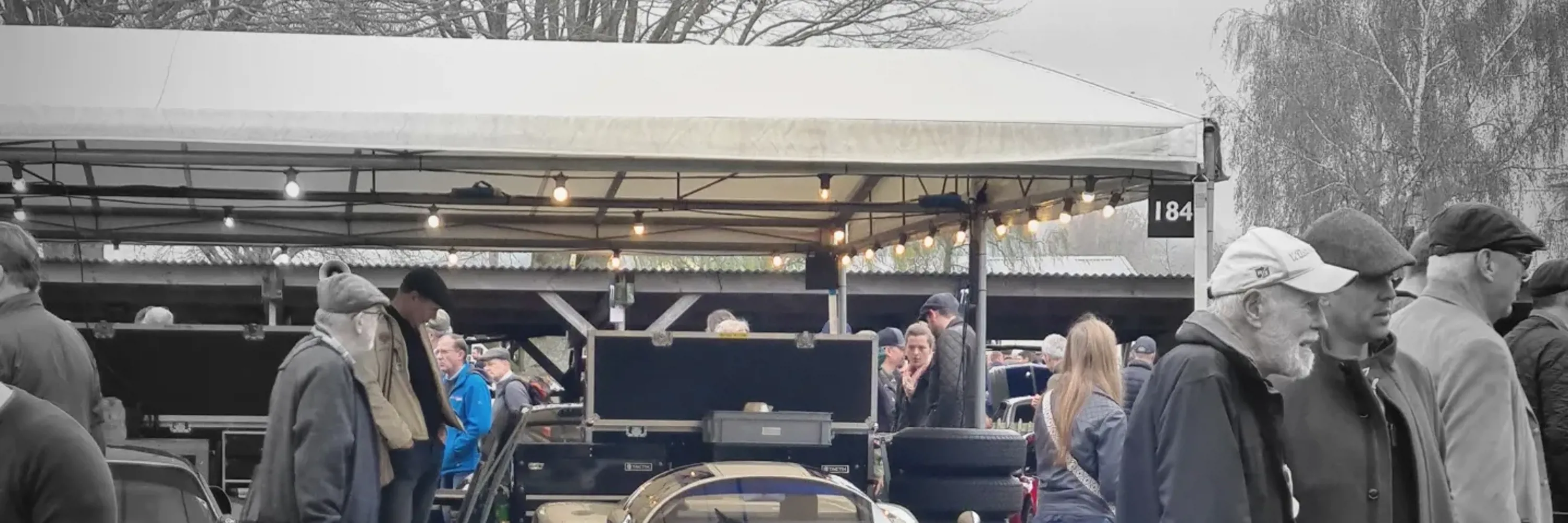 Goodwood 81st Members Meeting Picture Diary